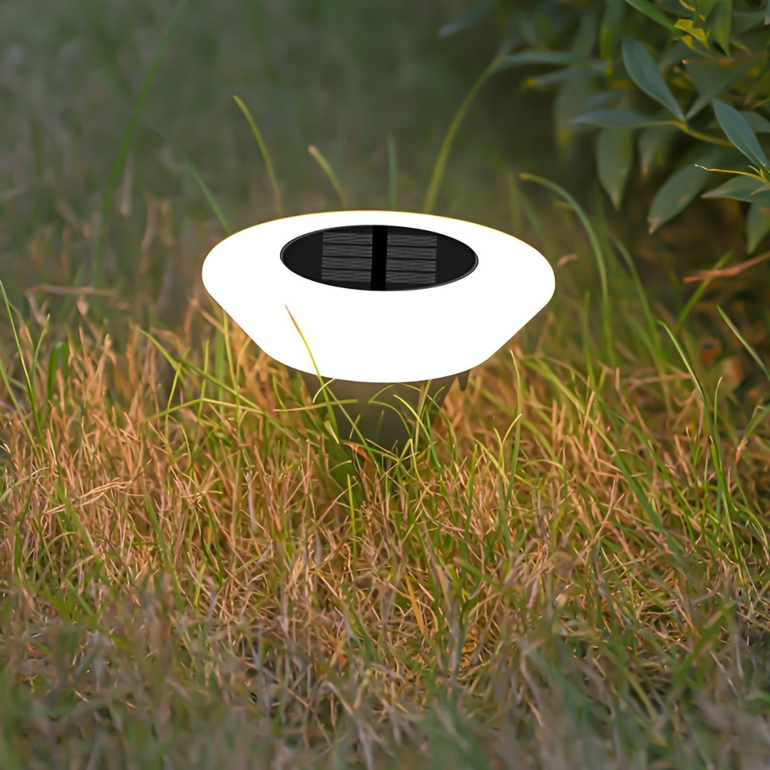 AuroraLume | LED Solar Garden Lamp With Auto-On Lighting