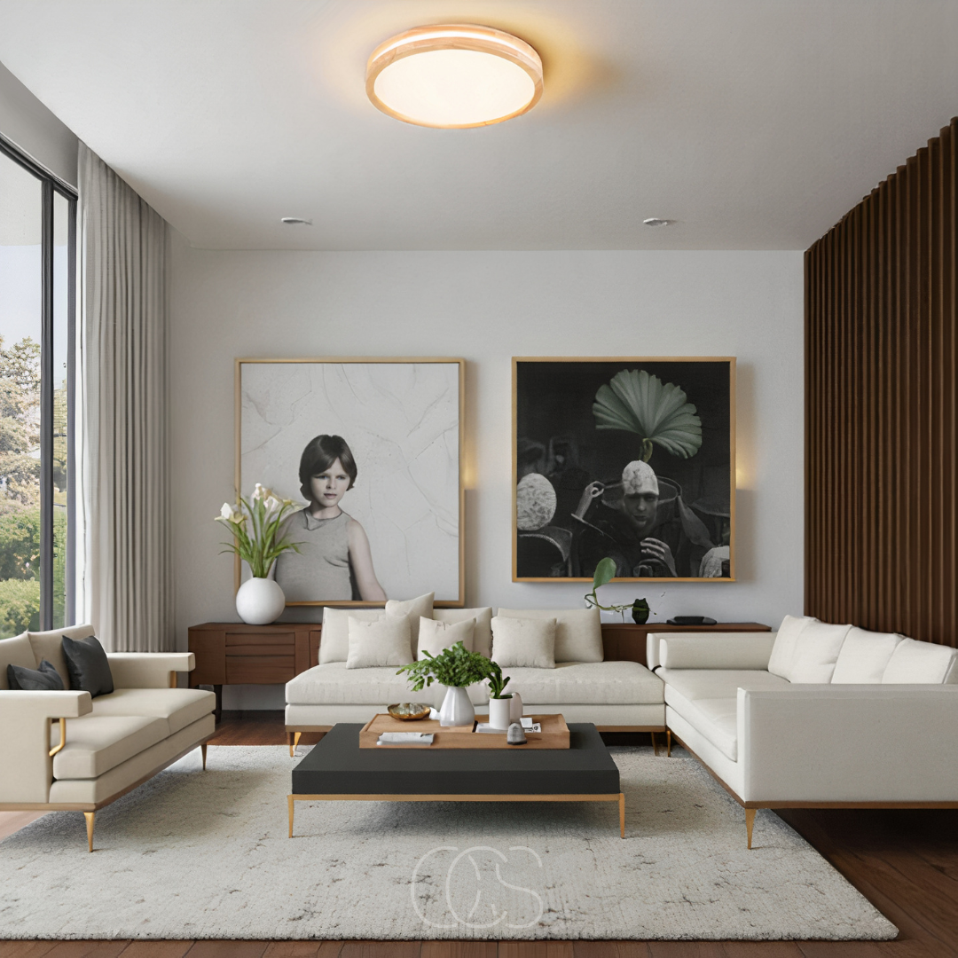 Bronp - Basic modern LED ceiling lamp