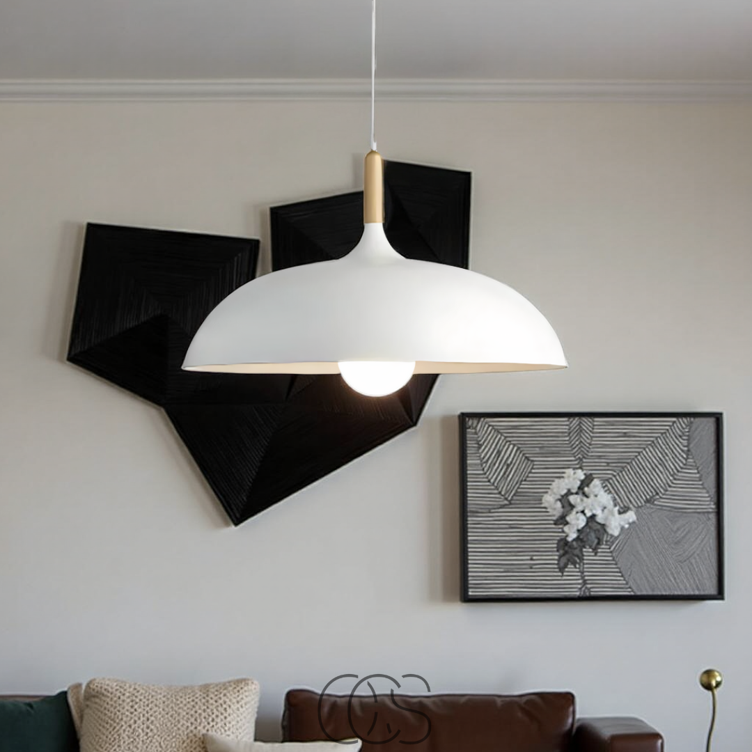 Bronp - Modern Matte Black Ceiling Lamp