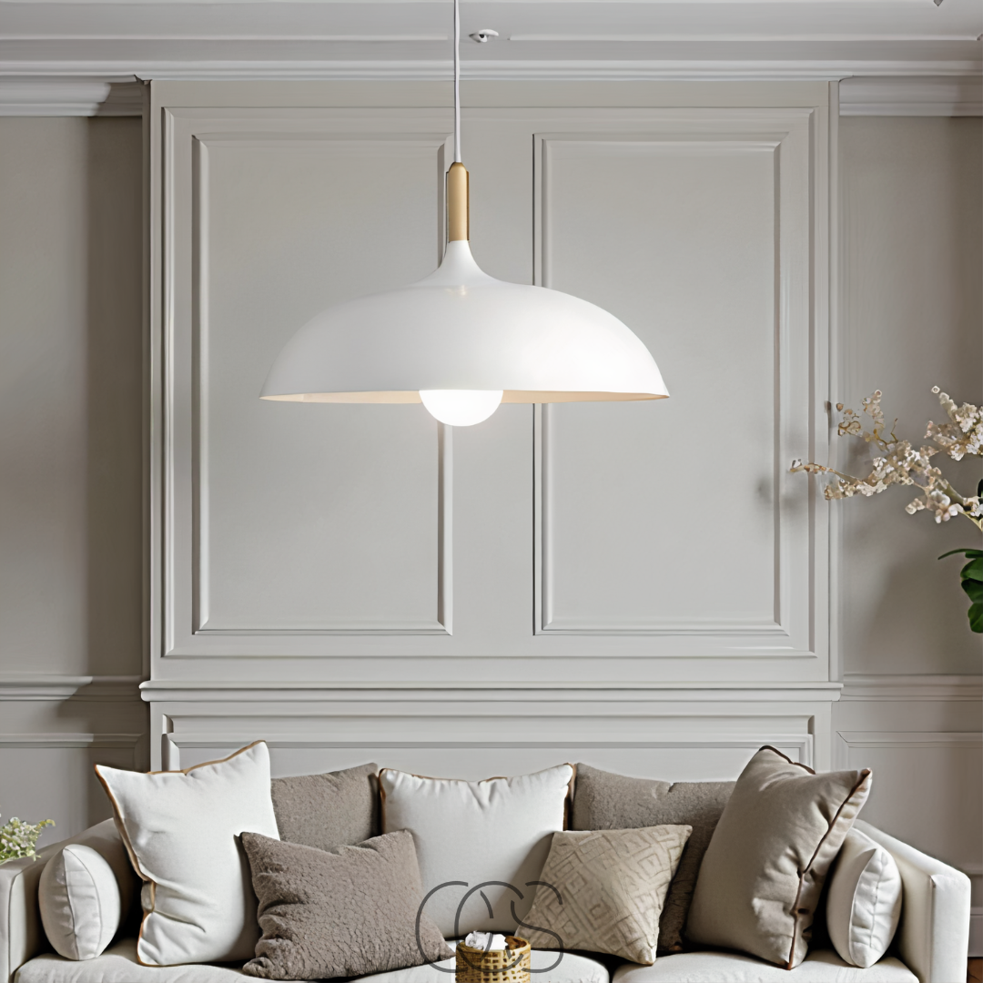 Bronp - Modern Matte Black Ceiling Lamp