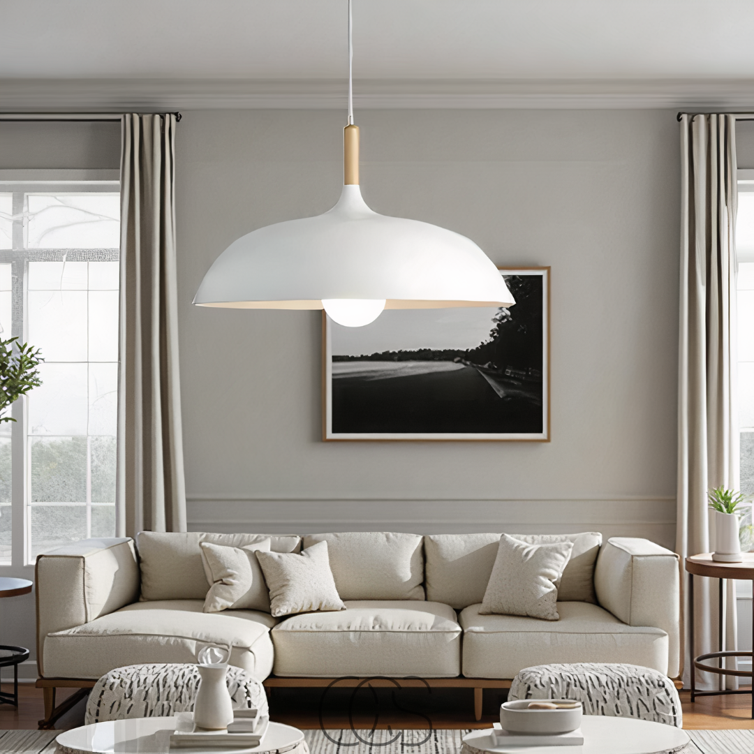 Bronp - Modern Matte Black Ceiling Lamp