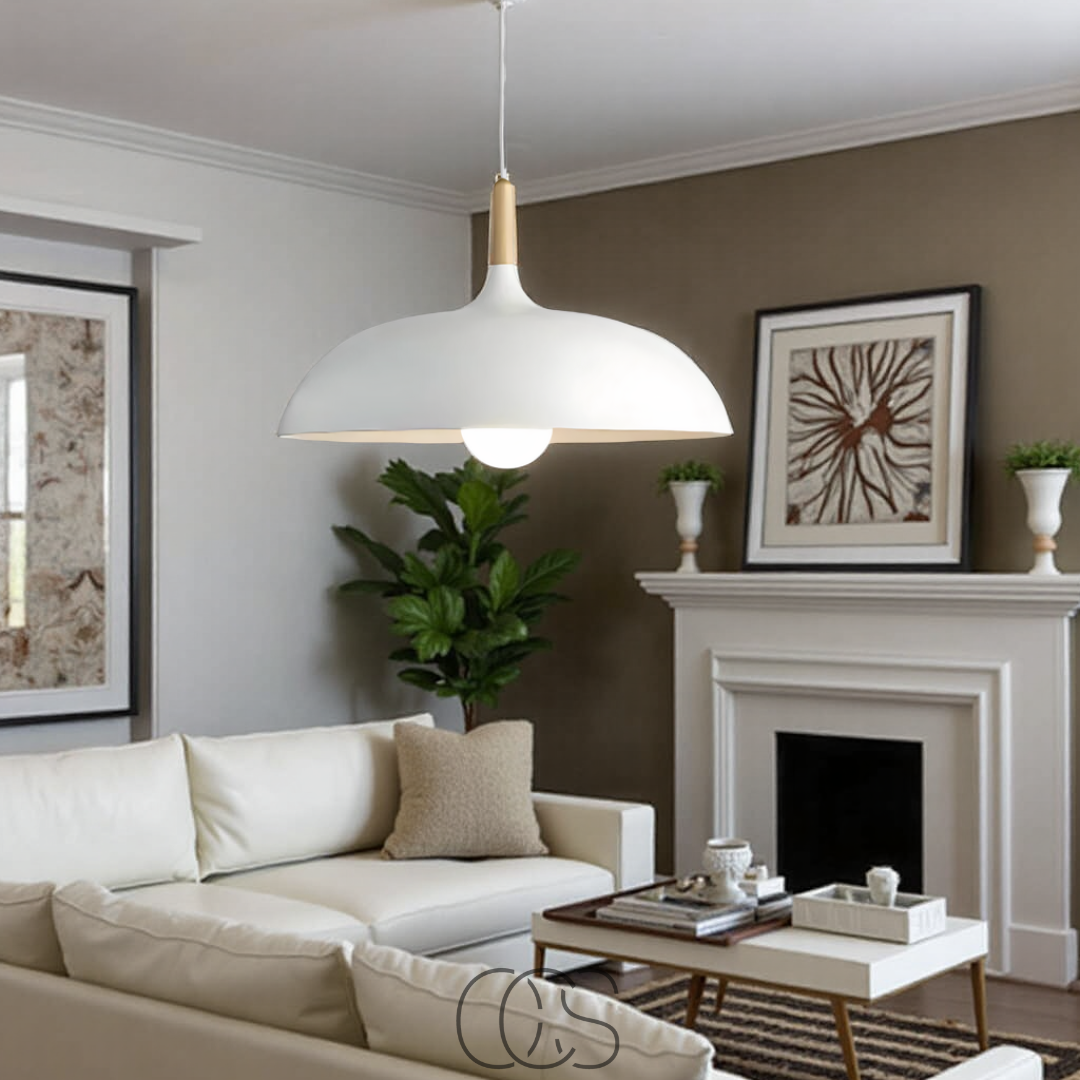 Bronp - Modern Matte Black Ceiling Lamp