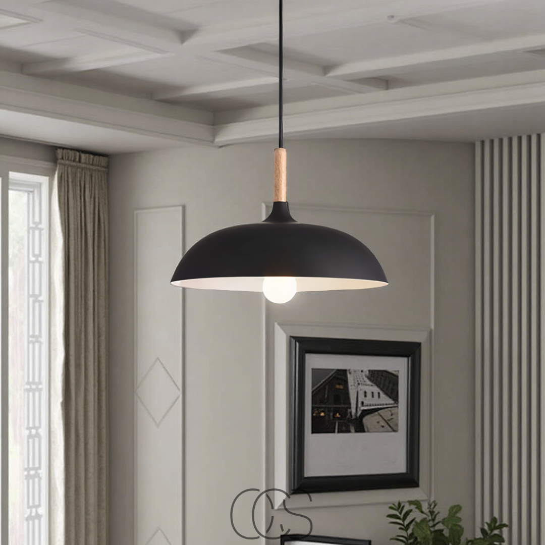 Bronp - Modern Matte Black Ceiling Lamp